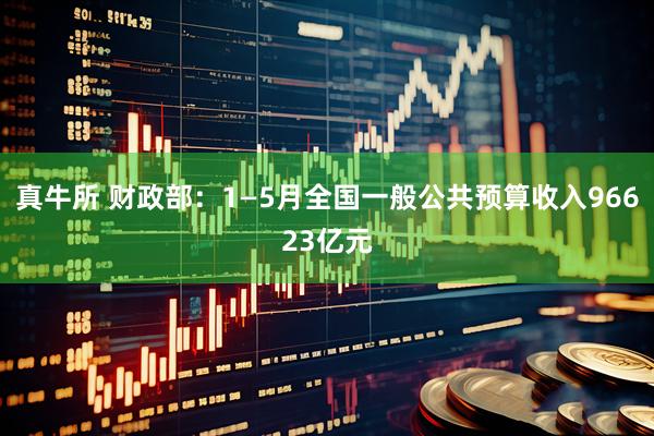 真牛所 财政部：1—5月全国一般公共预算收入96623亿元