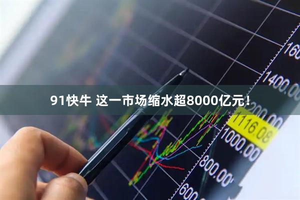 91快牛 这一市场缩水超8000亿元！