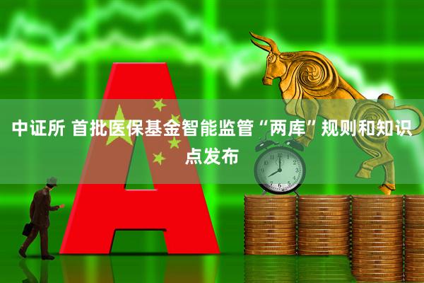 中证所 首批医保基金智能监管“两库”规则和知识点发布