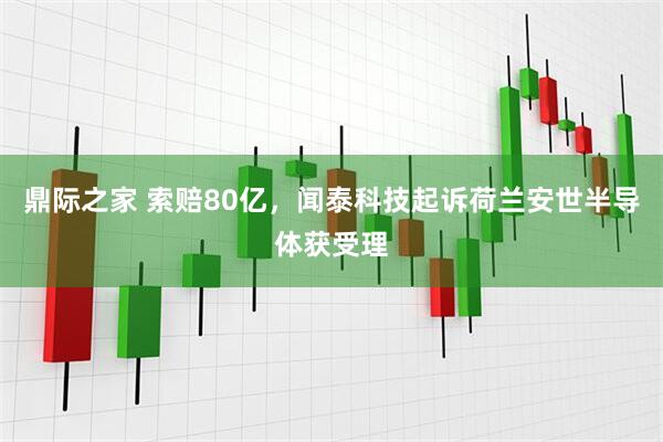 鼎际之家 索赔80亿，闻泰科技起诉荷兰安世半导体获受理